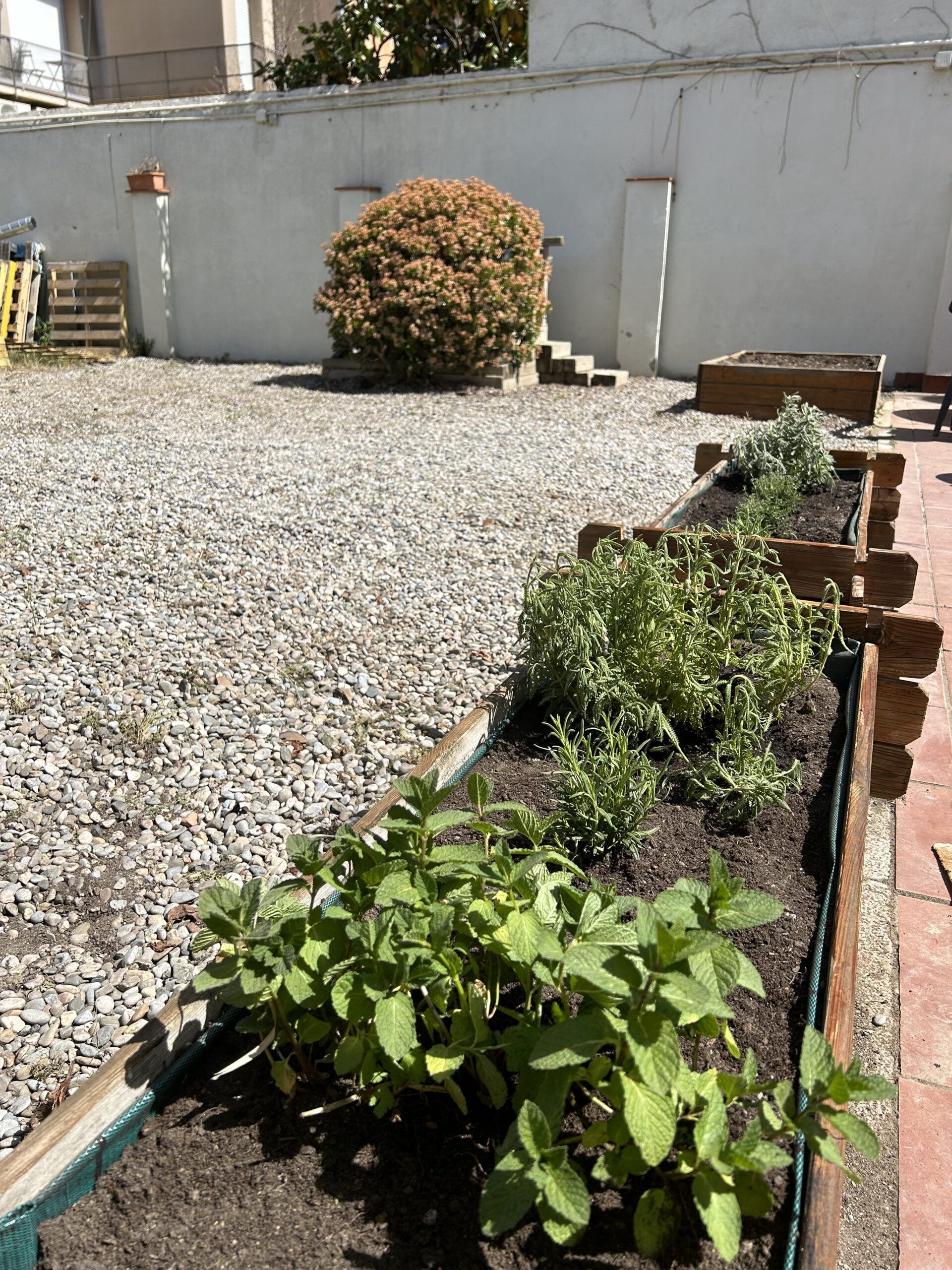 el pati de l'escoleta llar infantil a terrassa